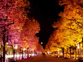 Unter den Linden durante el Festival de las Luces que se celebra en otoño