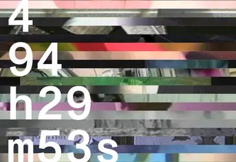 Karin Sander: 494h29m53s