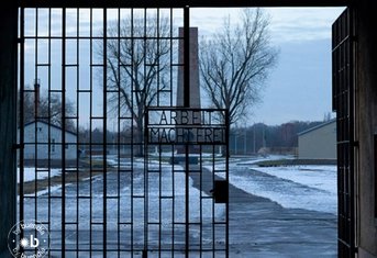 Desde Berlín con guía en español 