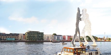 Molecule Man Berlin - Kormoran