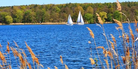 Blick auf die Havel in Gatow