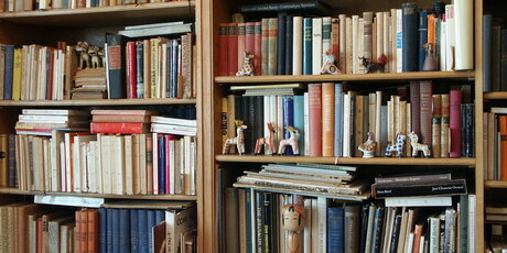 Bücherregal im Anna-Seghers-Museum
