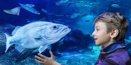 AquaDom e SEA LIFE - Attrazione a Berlino
