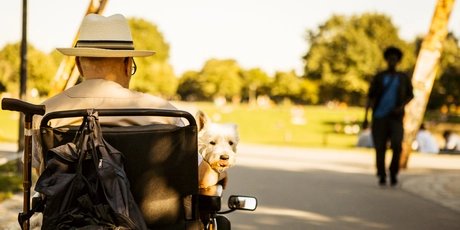 Rollstuhlfahrer im Park