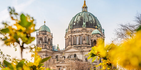 Berliner Dom in Berlin-Mitte mit Frühlingsblumen