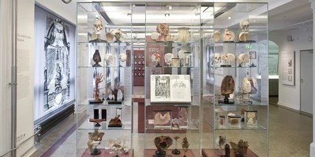 Medizinhistorisches Museum der Charité, Ausstellungssaal