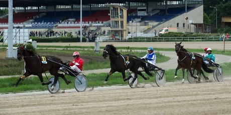 Trabrennbahn Karlshorst