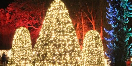 Christmas Garden Berlin im Botanischen Garten