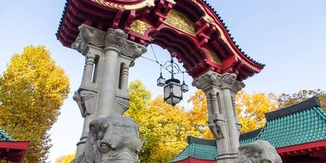 Berlin attraction Jardin Zoologique
