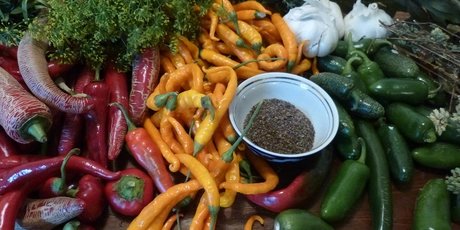 Mediterranean vegetables