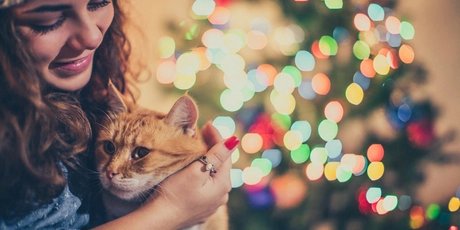 Frau mit Katze vorm Weihnachtsbaum