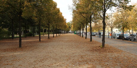 Unter den Linden im Herbst 