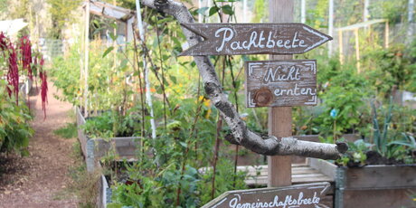 Himmelbeet community garden in Berlin