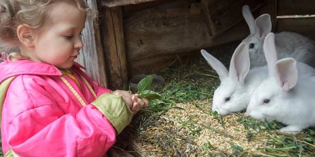 farm for children