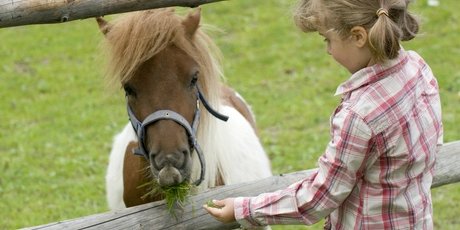 Mädchen füttert ein Pony