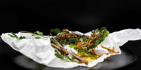 Mikrokosmos Restaurant: Gericht mit Insekten