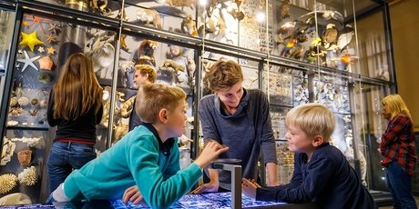I bambini al Museum für Naturkunde Berlin