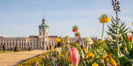 Park Schloss Charlottenburg im Frühling