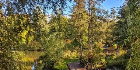 Steg auf der Schlossinsel in Lübben im Spreewald