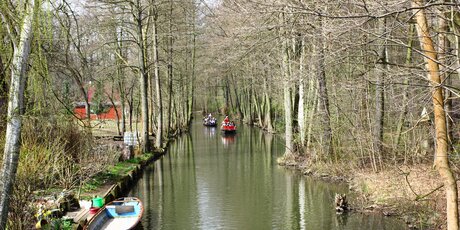 Canal in the Spree Forest