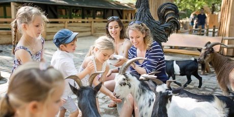 Streichelzoo im Zoo Berlin