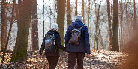 Senior couple on nordic walk