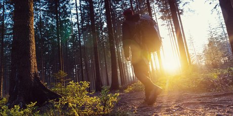 Wanderer in Berliner Wäldern