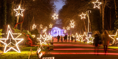 Le luci delle stelle a Natale nello Tierpark (Weihnachten im Tierpark), Friedrichsfelde