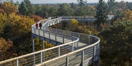 Braumkronen- und Zeitreisepfad Beelitzer Heilstätten
