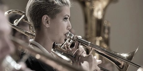 Musician in the orchestra