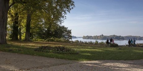 Die Pfaueninsel mit Blick auf die Havel