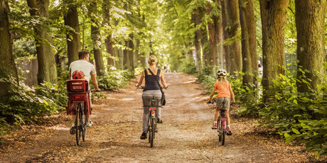 Familie auf Fahrrädern im Wald 