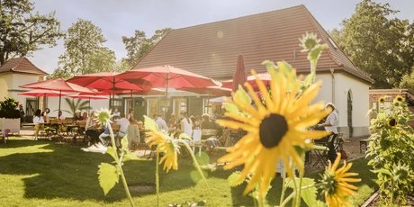 Sommercafe im Landhausgarten Dr. Max Fränkel