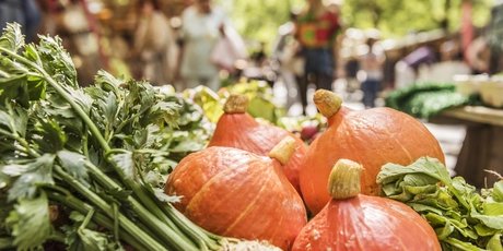 Ökomarkt und Wochenmarkt am Kollwitzplatz