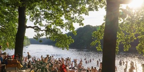 Lake Krumme Lanke  in Berlin