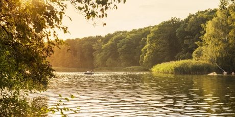 Mit dem Ruderboot auf dem Schlachtensee in Berlin