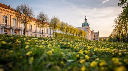 Frühling