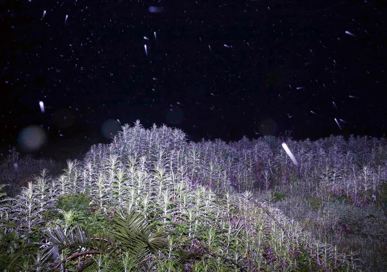 19th IBB Prize for Photography