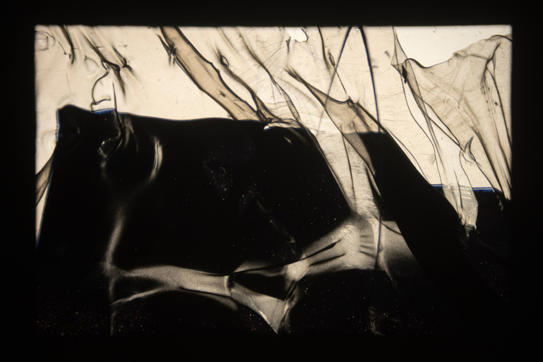 Rey Akdogan. Carousels