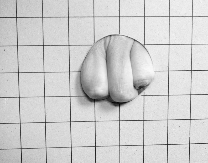Ausstellung: Fenster Türen Wände