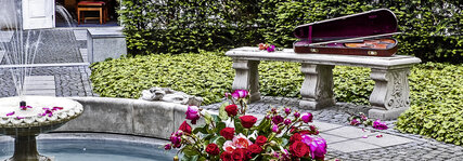 Geige im offenen Geigenkasten liegt auf einer steinernen Bank in einem kleinen Rosengarten.