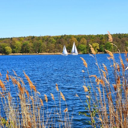 Blick auf die Havel in Gatow