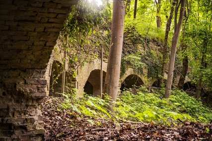Fort Hahneberg