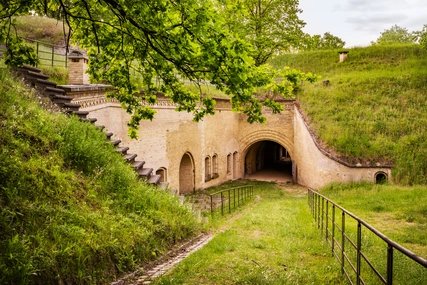Fort Hahneberg