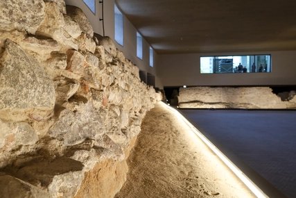 Petri Berlin