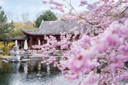 Berlin kompakt Touren, Gärten der Welt