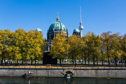 Berliner Dom hinter Herbstbäumen