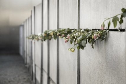 Roses protruding from the Berlin Wall