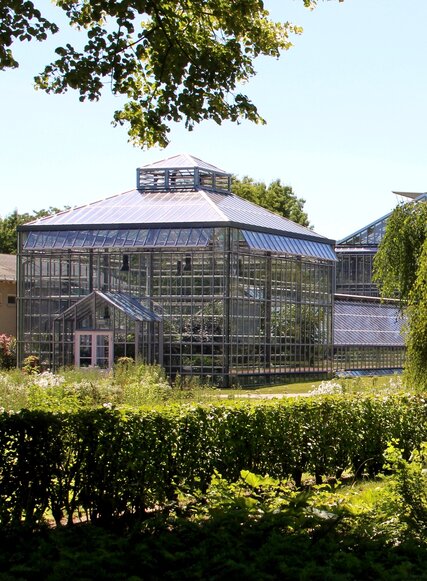 Greenhouse at Botanischer Volkspark Blankenfelde-Pankow