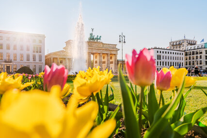 Blütenpracht am Brandenburger Tor, Berlin